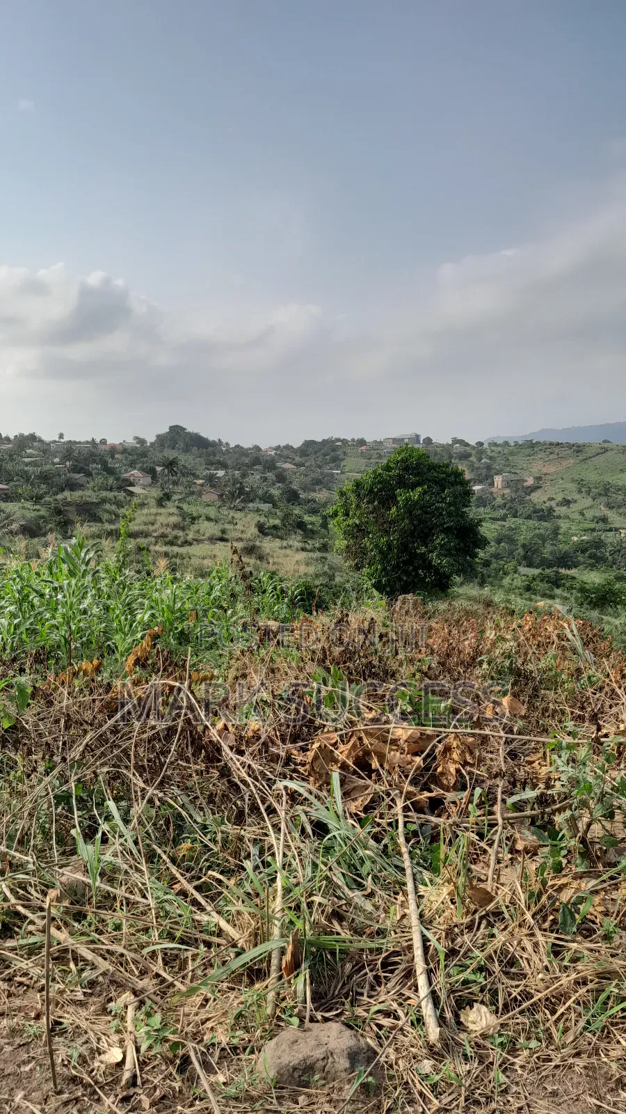 Registered Plots for Sale at Samsam Near Mayera Pokuase