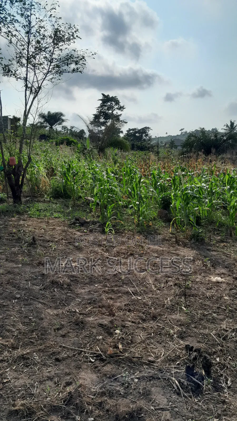 Registered Plots for Sale at Samsam Near Mayera Pokuase