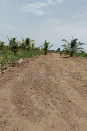 Create an Investment by Securing and Estate Land, Panfokrom
