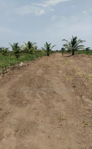 Create an Investment by Securing and Estate Land, Panfokrom