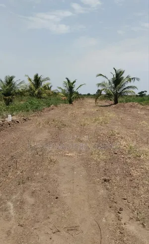 Buy Genuine Land Now, Have Your Peace of Mind, Palm Hills