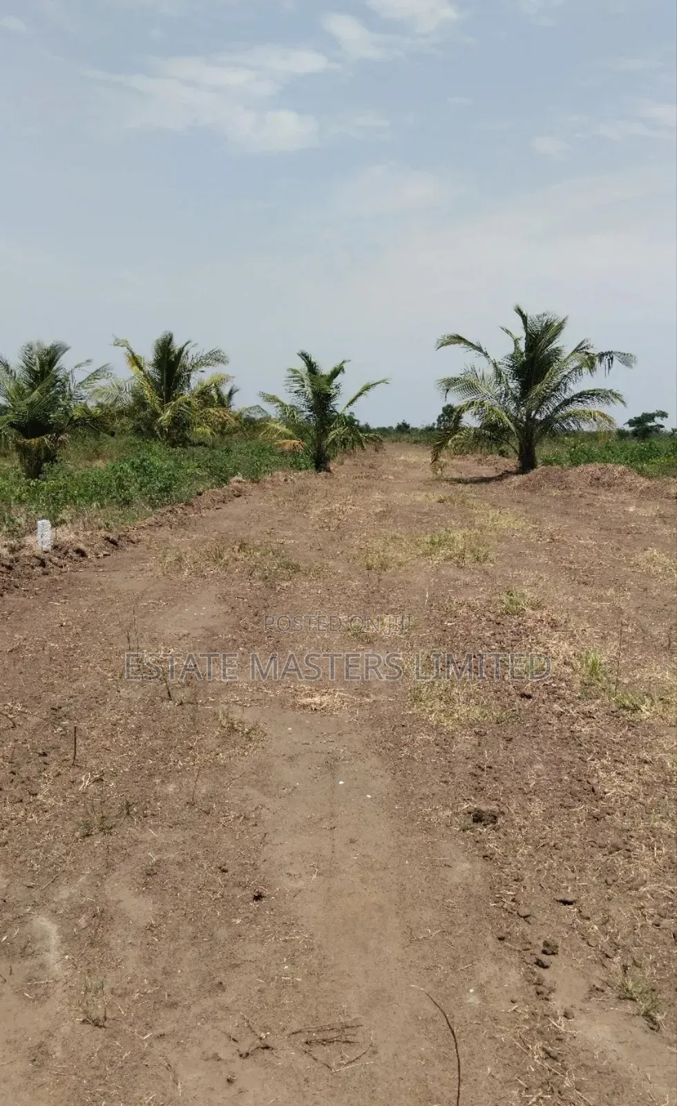Buy Genuine Land Now, Have Your Peace of Mind, Palm Hills