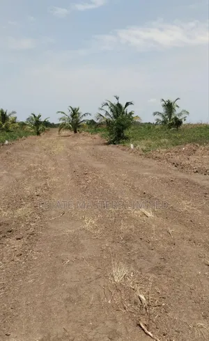 Buy Genuine Land Now, Have Your Peace of Mind, Palm Hills