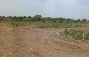 Buy Genuine Land at Your Terms, Flexible and Affordable