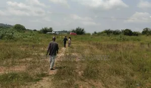 Don't Wait, Secure This High Demand Land Now, "Dominase "