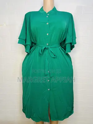 Ruffled Sleeve Shirt Dress