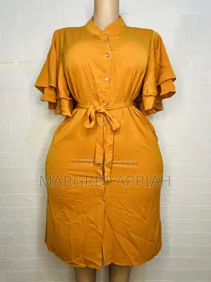 Ruffled Sleeve Shirt Dress