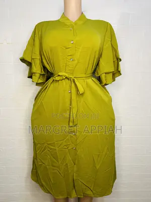 Ruffled Sleeve Shirt Dress