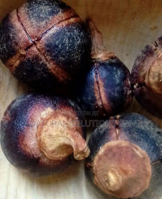 Gorontula Fruit African Chewing Gum