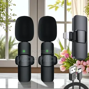 2 in 1 Wireless Microphone (668523)