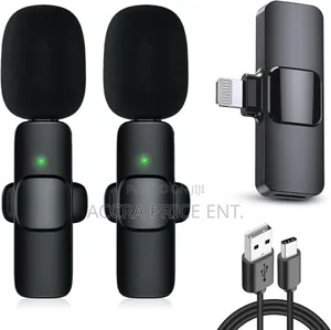 2 in 1 Wireless Microphone (223517)