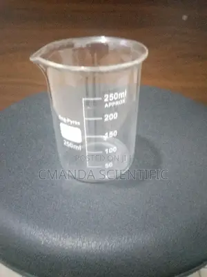 Beaker Glass 250ml