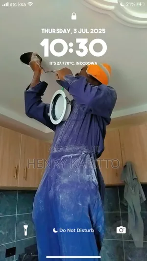 Professional Electricians