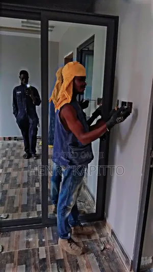 Professional Electricians