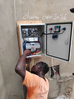 Professional Electricians
