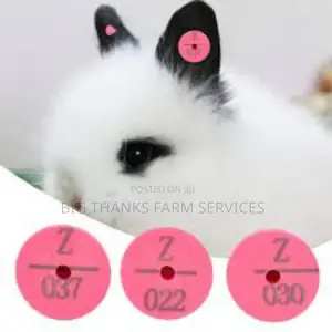 Livestock Tags