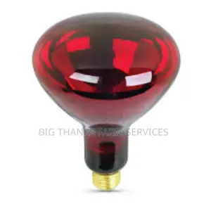 200w Brooder Lamps