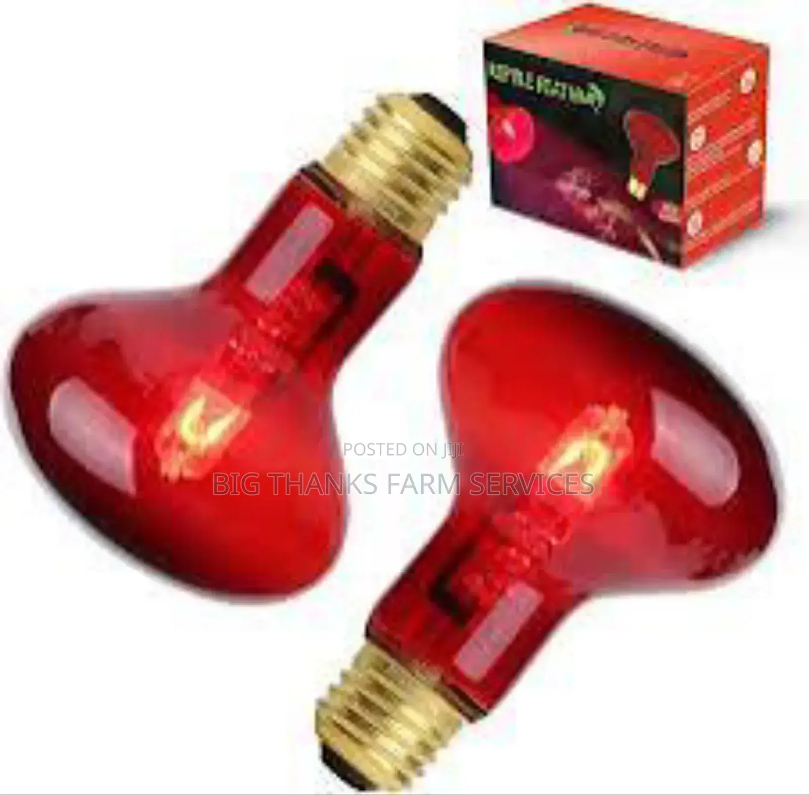 250w Brooder Lamps