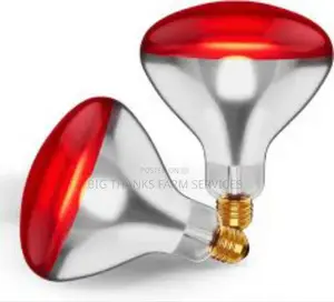 Brooder Lamps& Assessories
