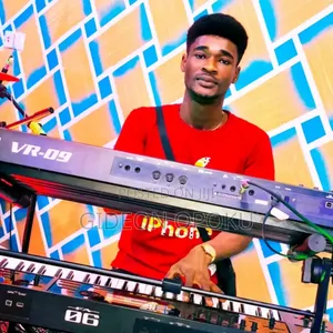 Professional Keyboardist