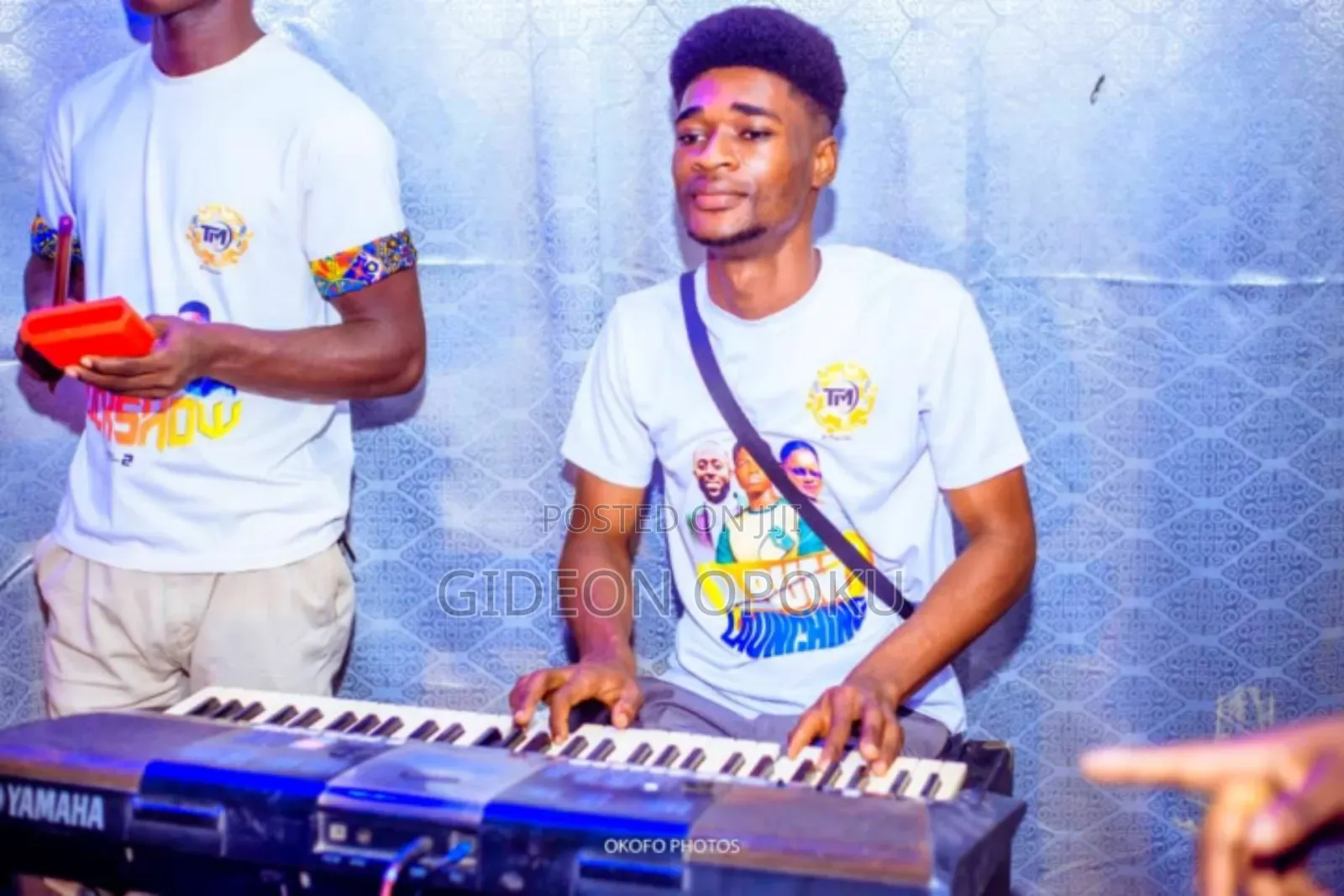 Professional Keyboardist