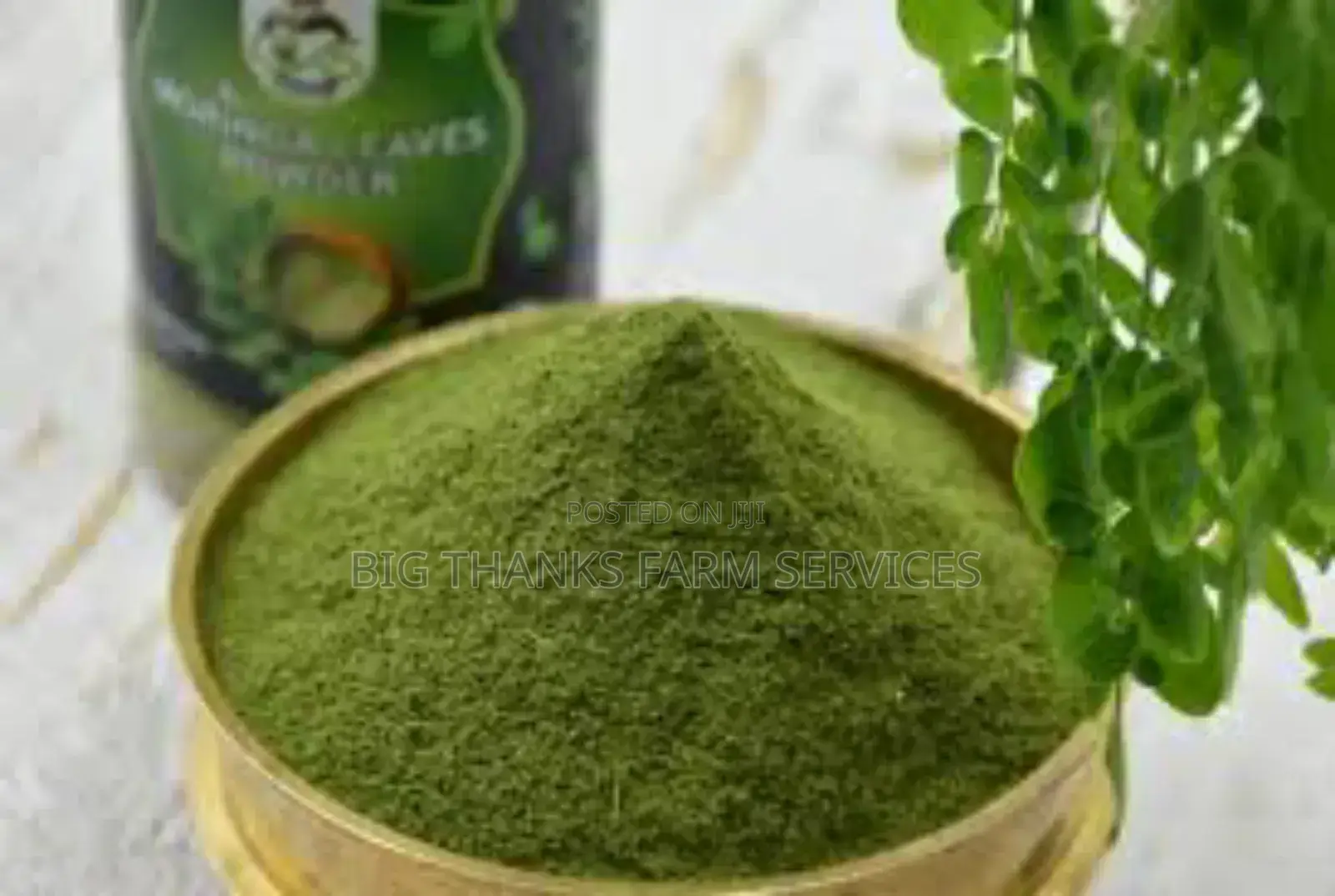 Moringa Leaf Powder 500g