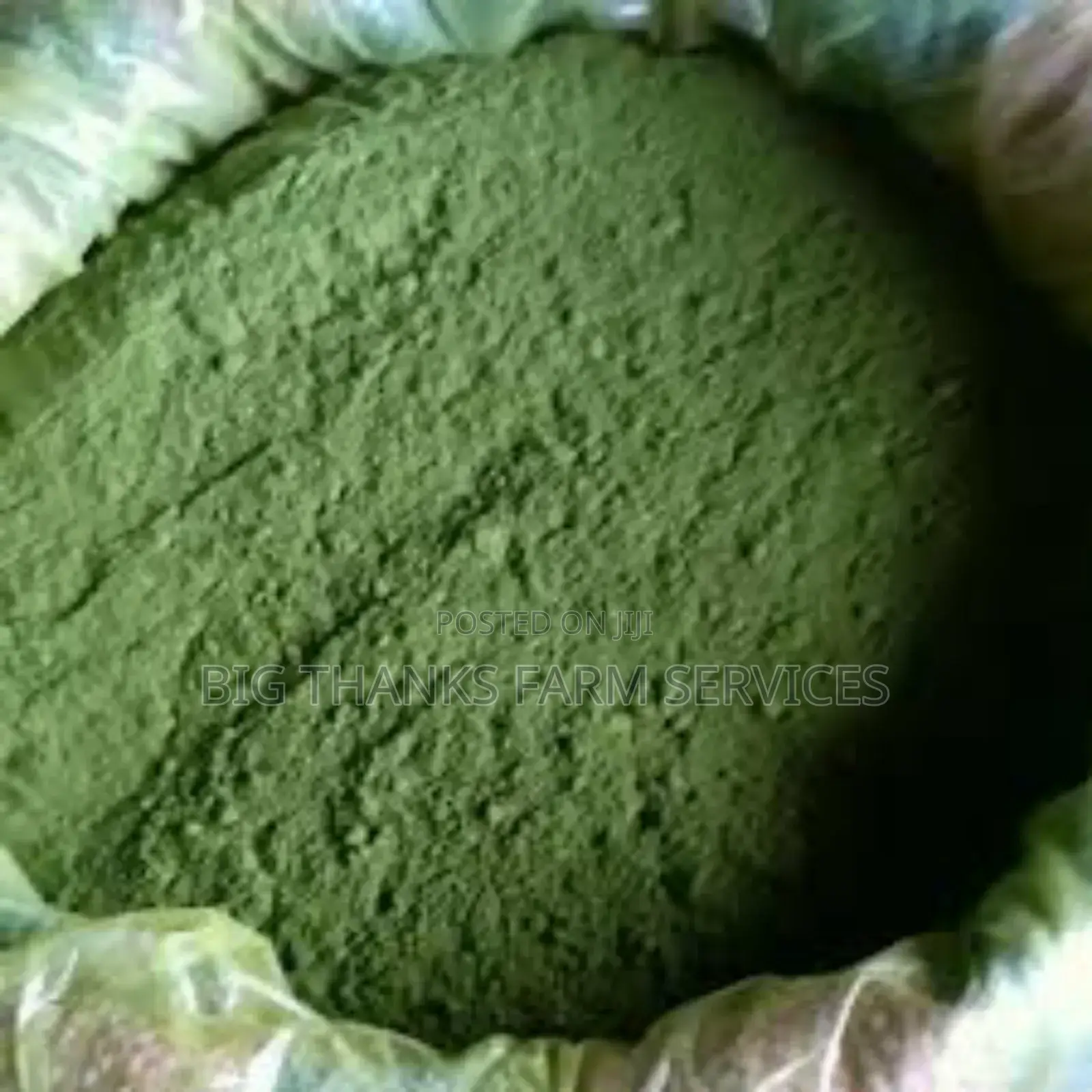 Moringa Chaffs For Animals Feed,Bulk