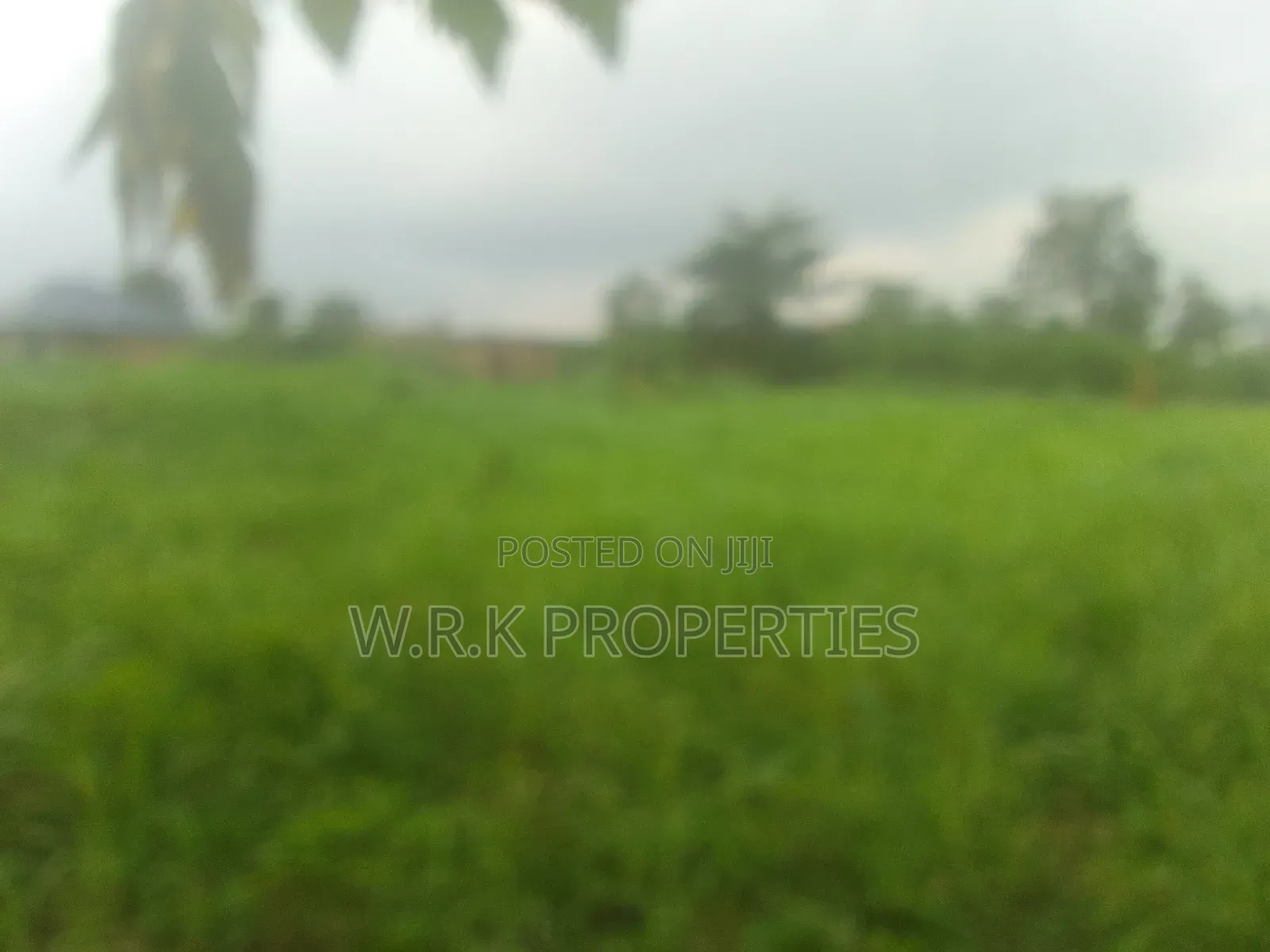 6 Plot of Land for Sale
