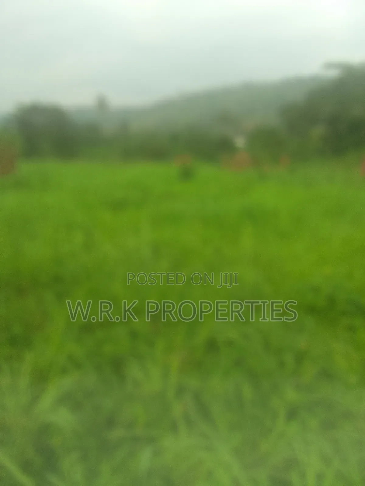 6 Plot of Land for Sale