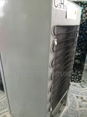 High Capacity Compressor Fridge Double Door Westpool Fridge