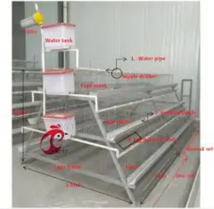 Battery Cages Of 160 Capacity