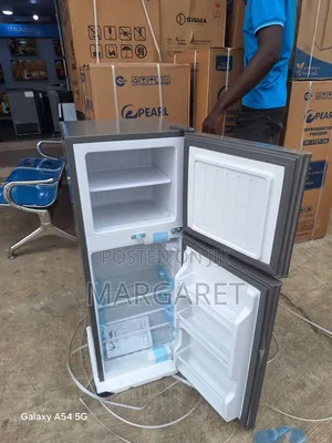 Cute and Affordable Pearl Double Door Fridge