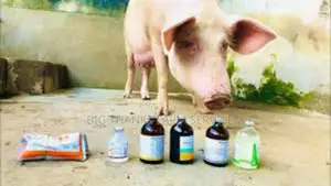 Livestock Medication &More