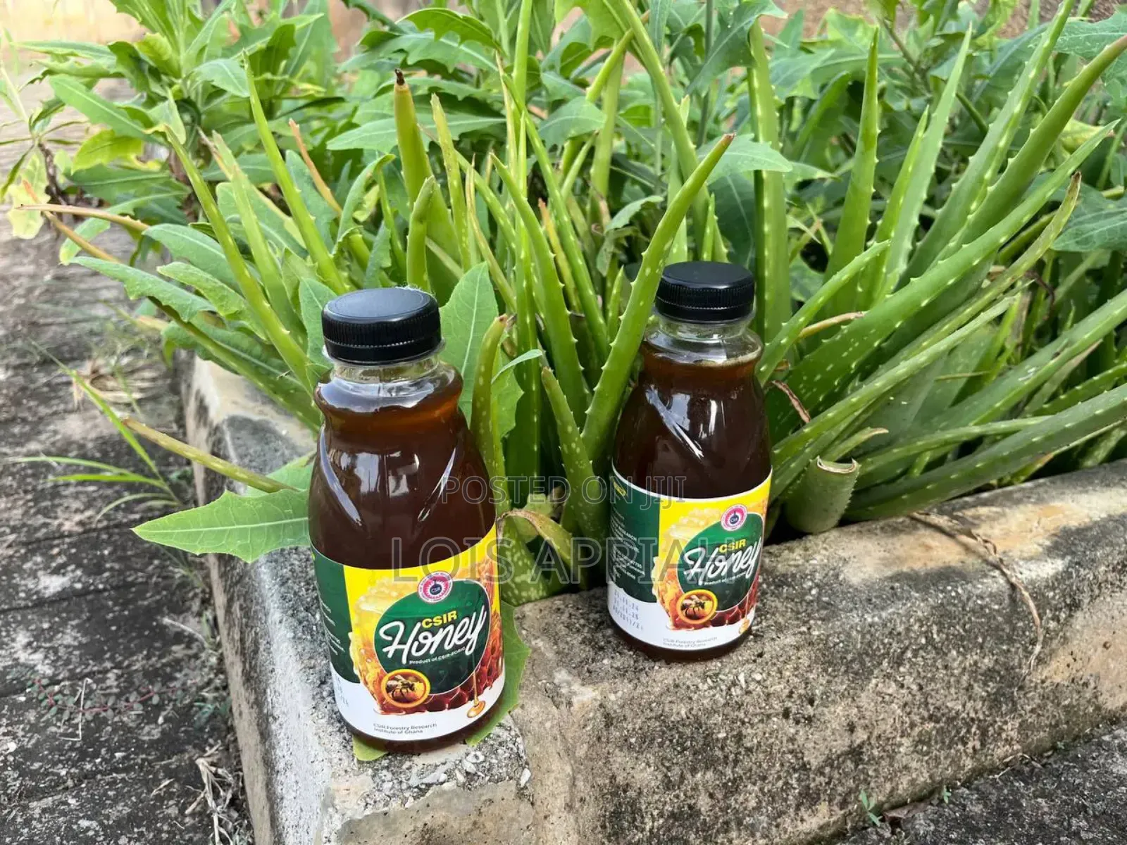 Quality Csir Honey And Pure Prekese Syrup