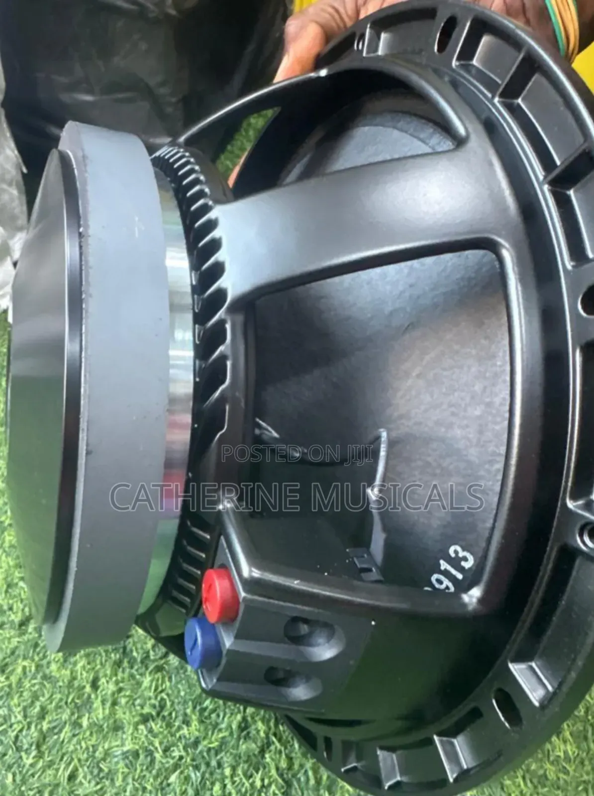RFC 12 Inches Naked Speaker Double Magnet