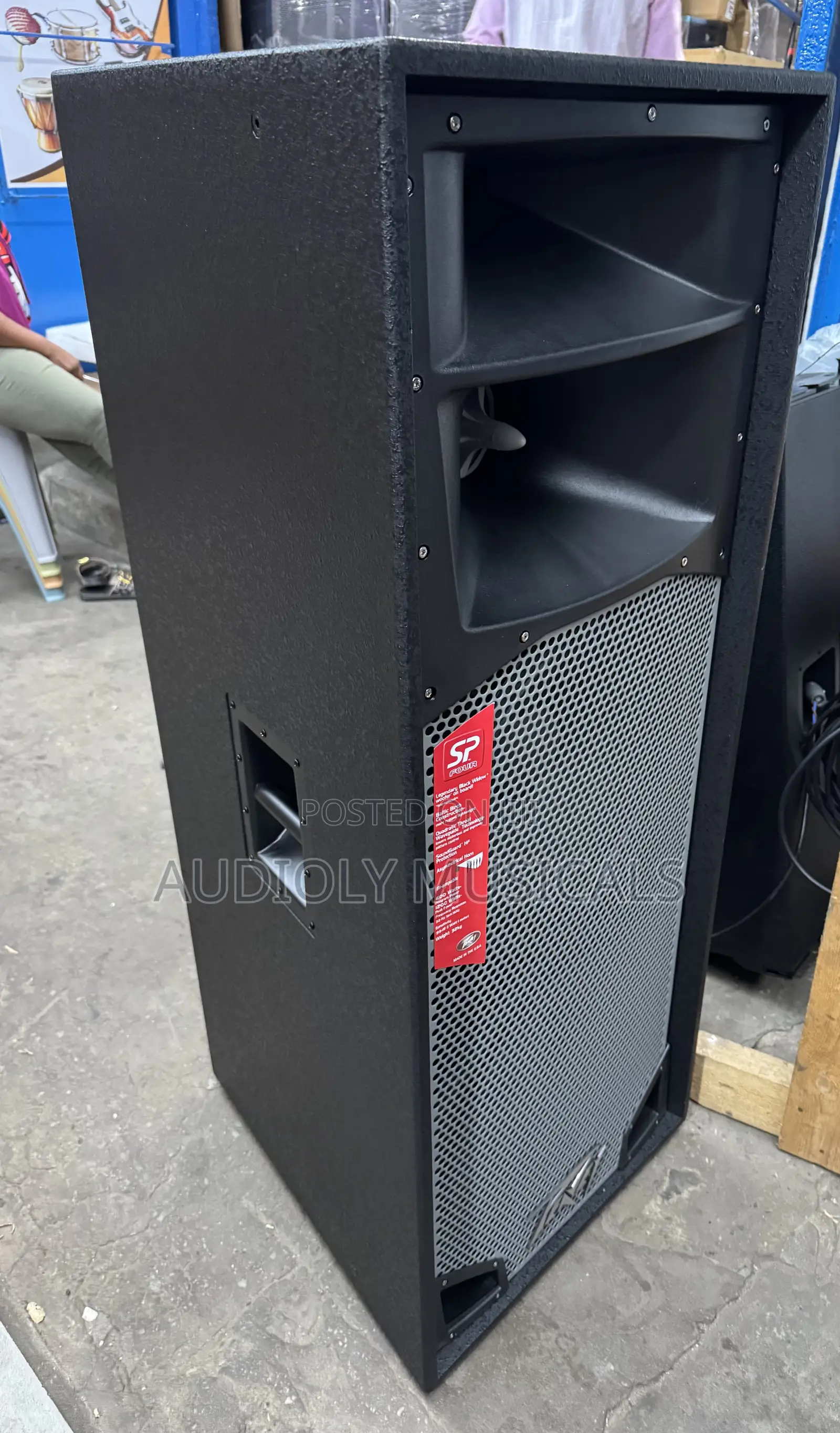 Peavey Speaker