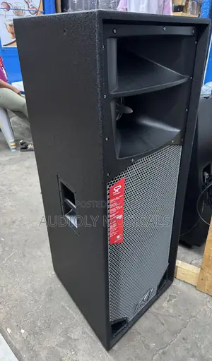 Peavey Speaker