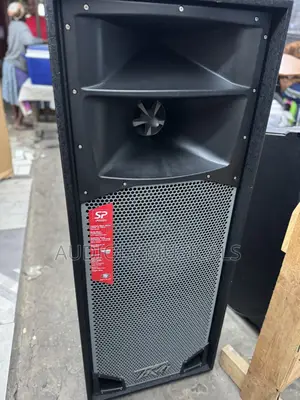 Peavey Speaker