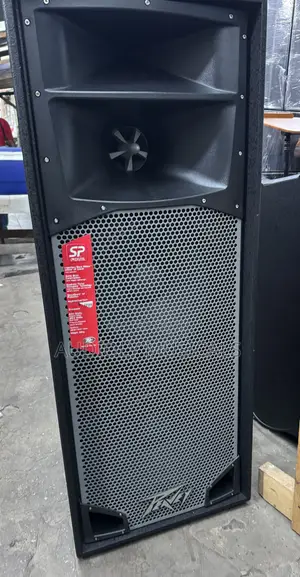 Peavey Speaker