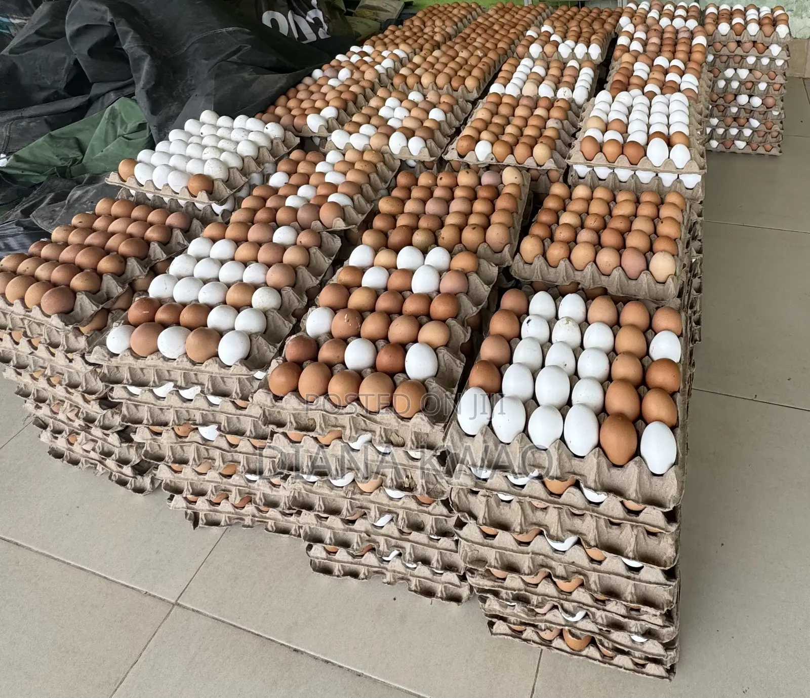 Eggs for Sale in Accra