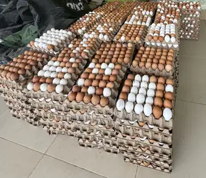 Eggs for Sale in Accra
