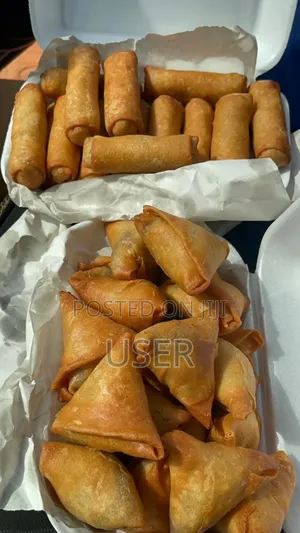 Samosa and Spin Roll