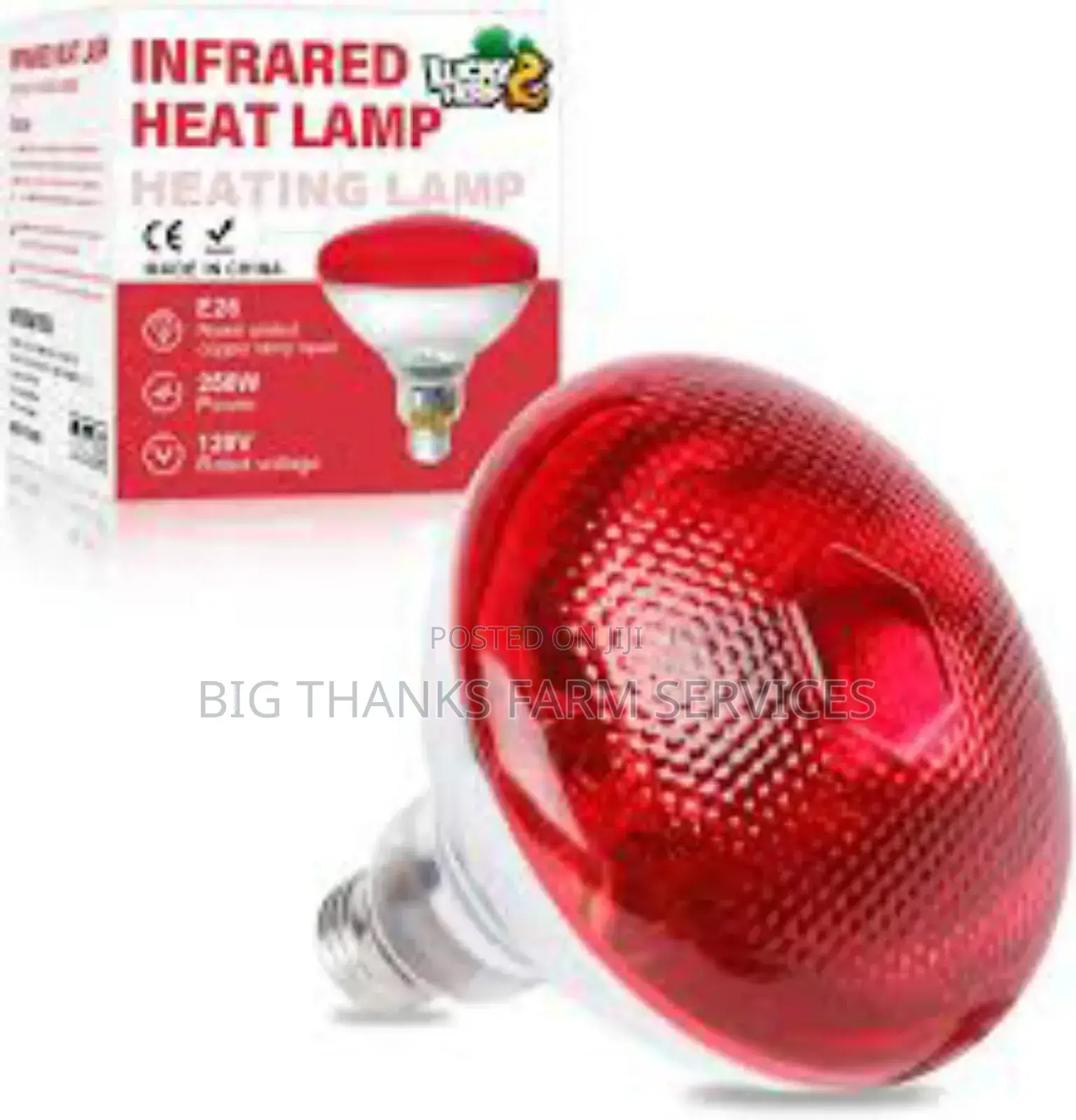 Brooder Lamps Of Different Sizes