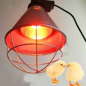 Infrared Brooder Lamps For Poultry