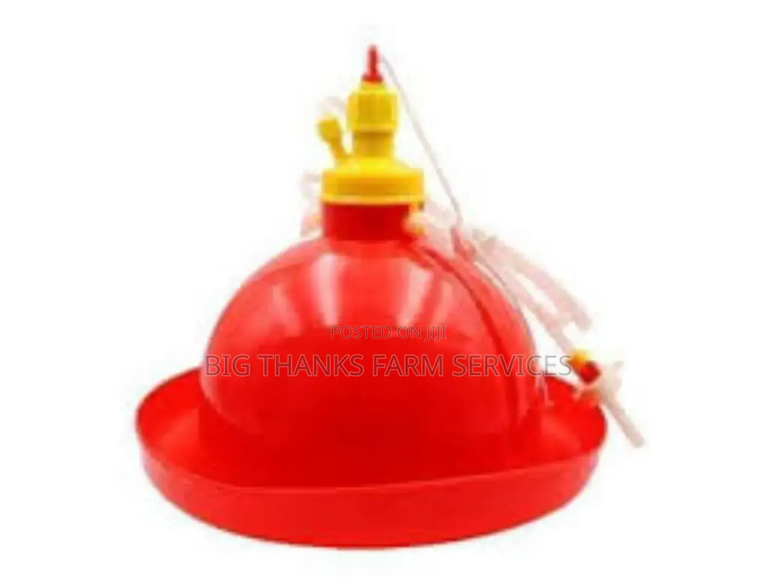 Small Bell Drinkers