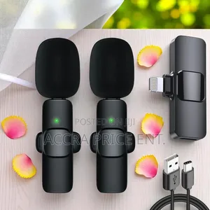2 in 1 Wireless Microphone(853426)