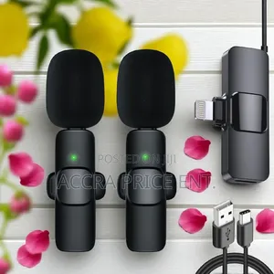 2 in 1 Wireless Microphone(446234)