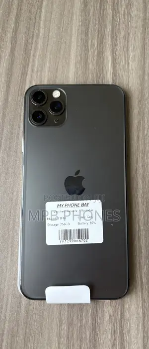 Apple iPhone 11 Pro Max 256 GB Gray