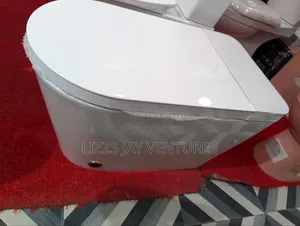 Smart Water Closet