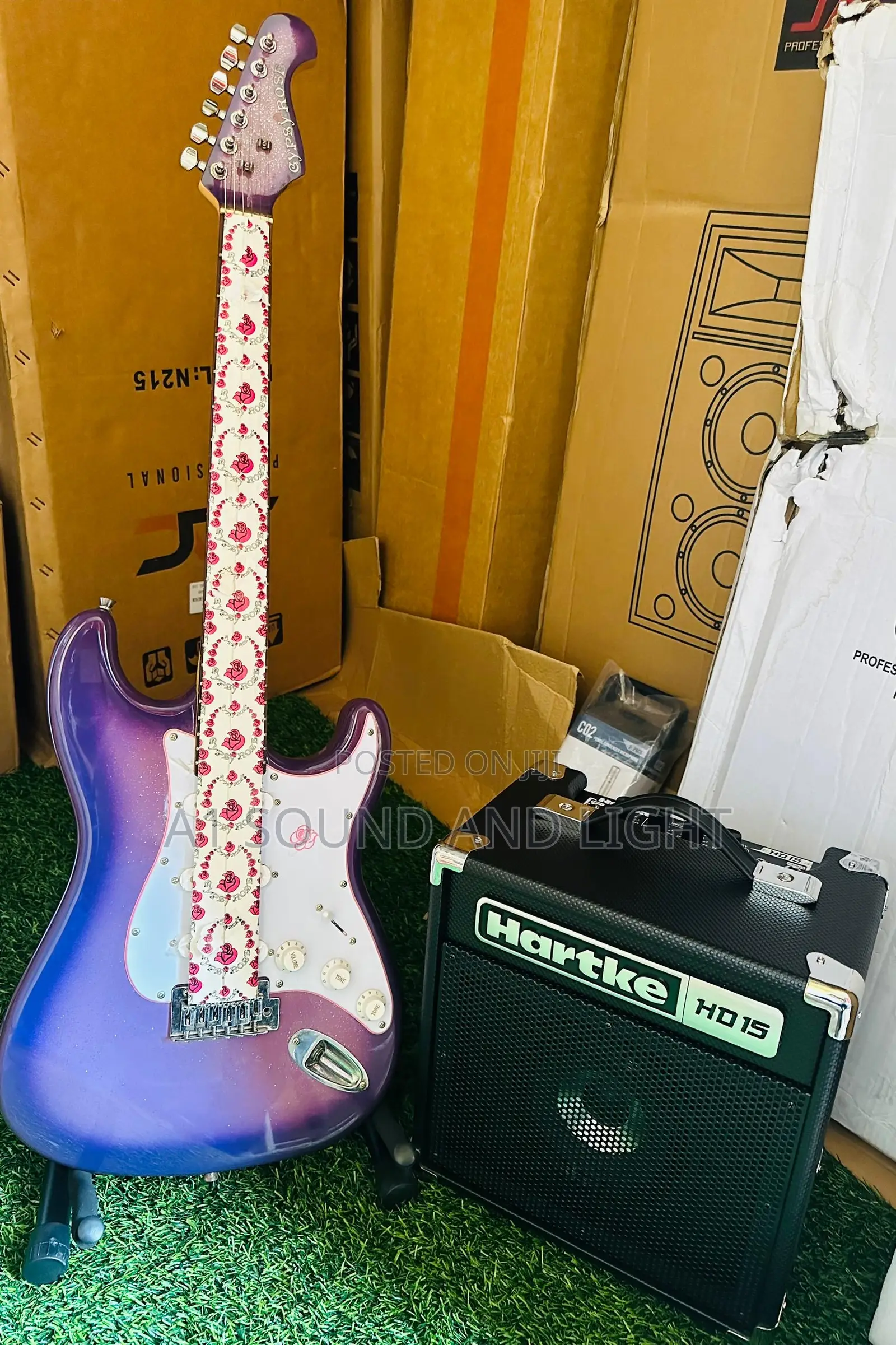 Gypsy Rose Electric Guitar And Hartke Practice Combo